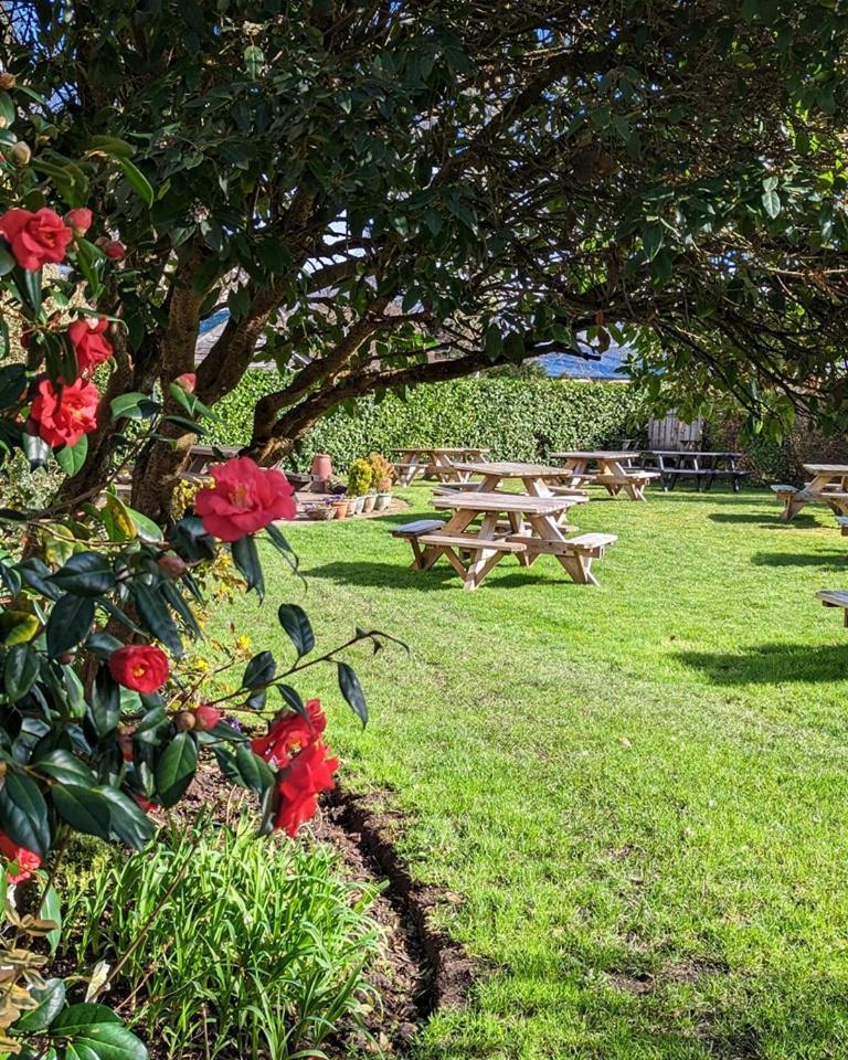The Mortimer Arms (Adults Only) Romsey Esterno foto